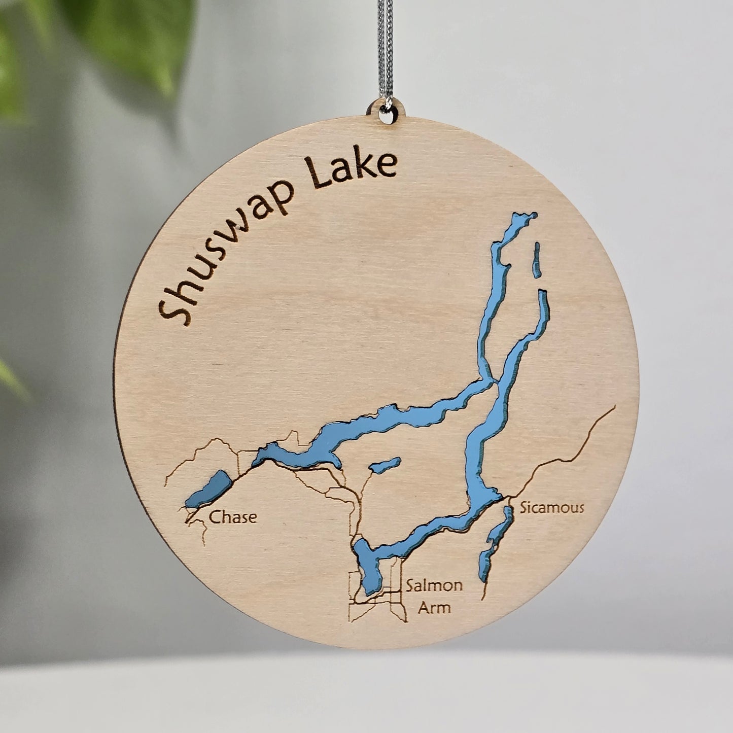 Shuswap Lake | Salmon Arm BC