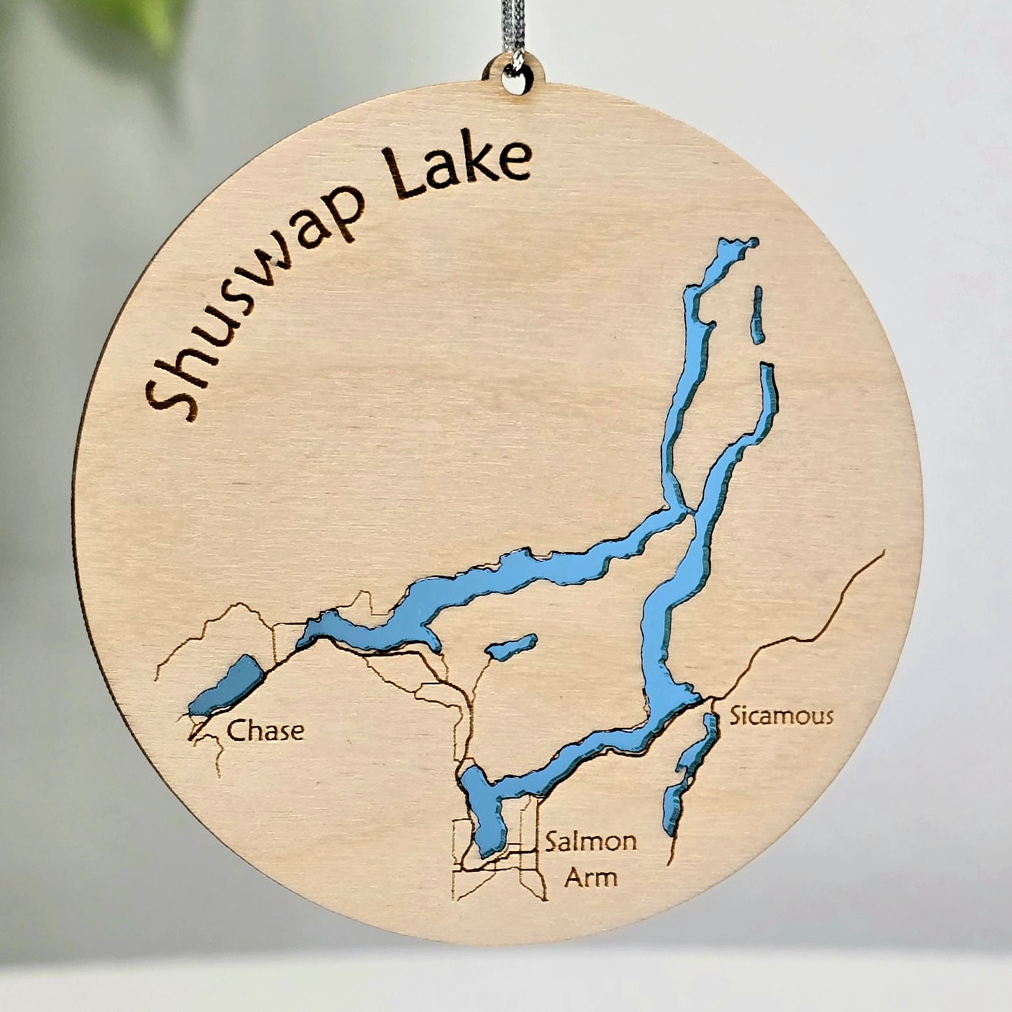 Shuswap Lake | Salmon Arm BC