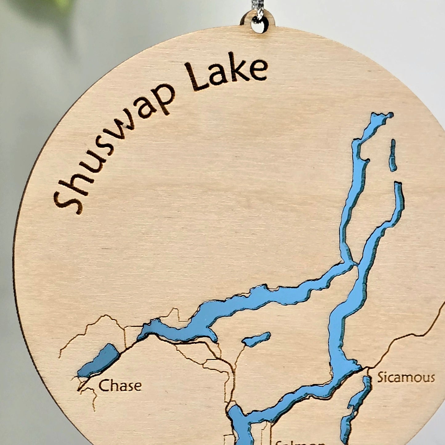 Shuswap Lake | Salmon Arm BC