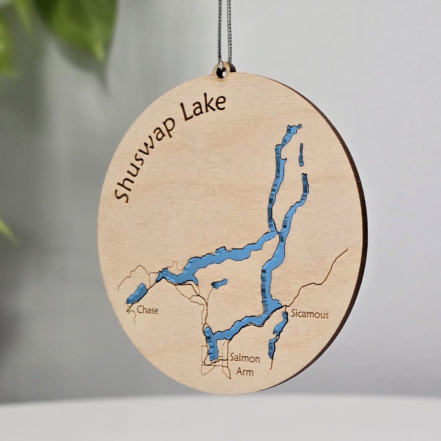Shuswap Lake | Salmon Arm BC