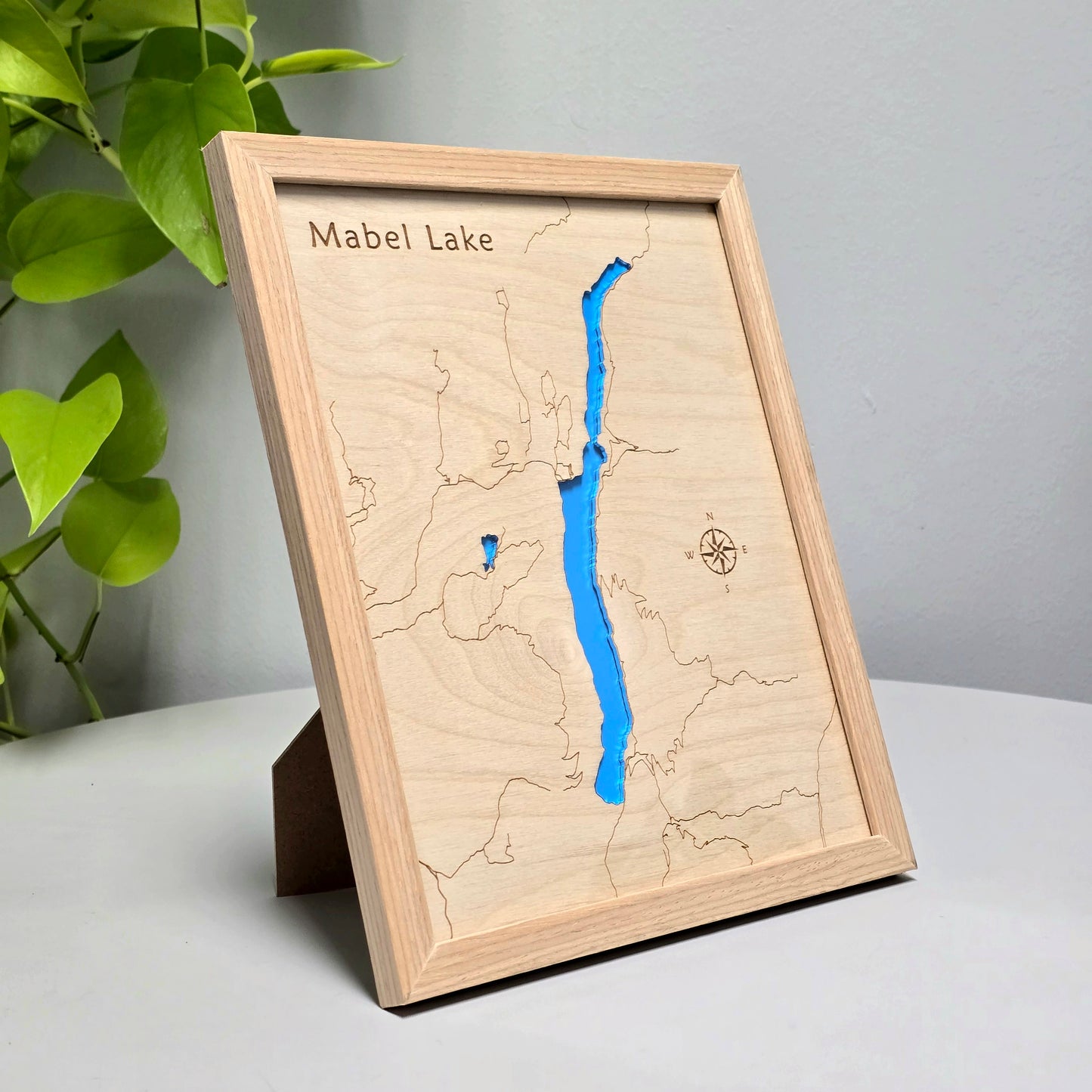 Mabel Lake | 8x10 Framed Wood Map